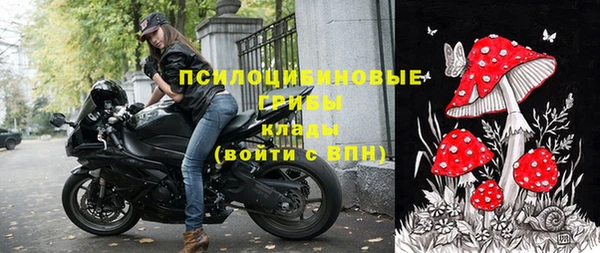 мескалин Карпинск