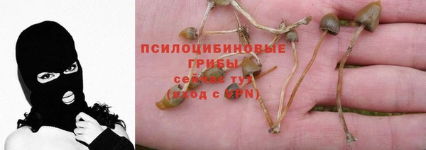 не бодяженный Каменногорск